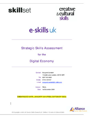 Strategic Skills Assessment for the Digital Economy